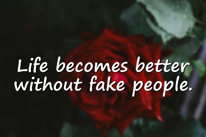 fake people quotes - 1