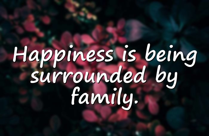 family bonding quotes - 16
