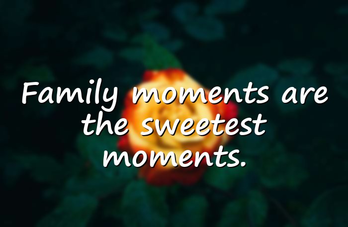 family bonding quotes - 6