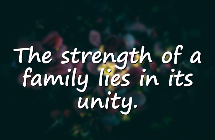 family bonding quotes - 21