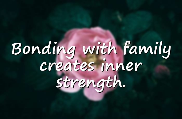 family bonding quotes - 16