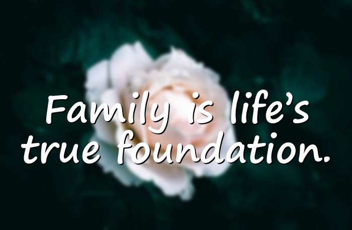 family bonding quotes - 11