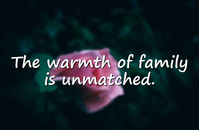 family bonding quotes - 6