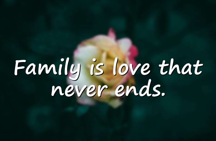 family bonding quotes - 1