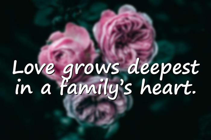 family love quotes - 21