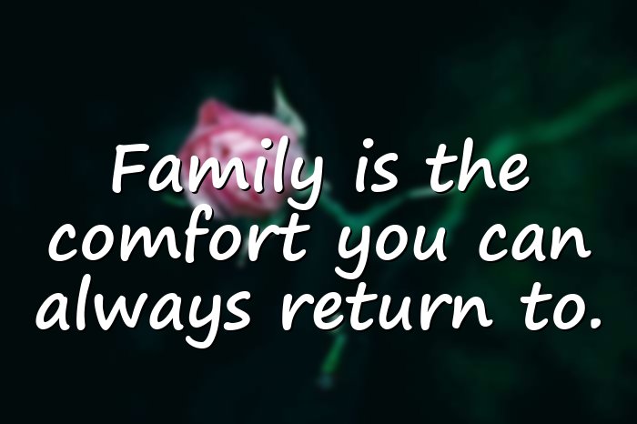 family love quotes - 6