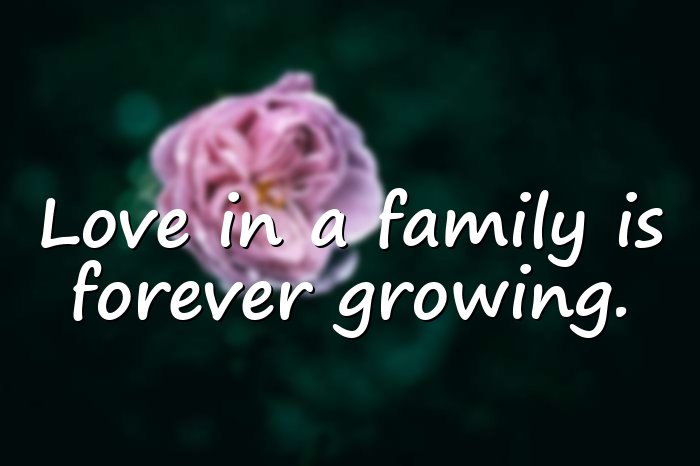 family love quotes - 1