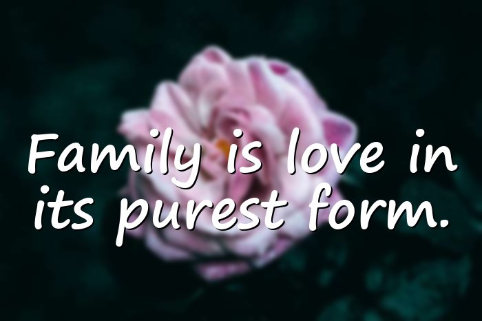 family love quotes - 21