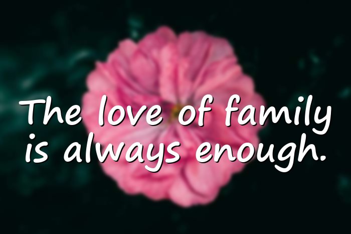 family love quotes - 16