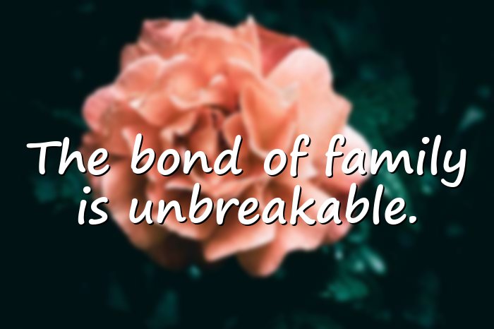family love quotes - 6