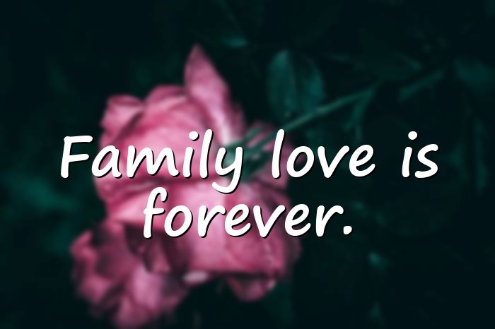 family love quotes - 1