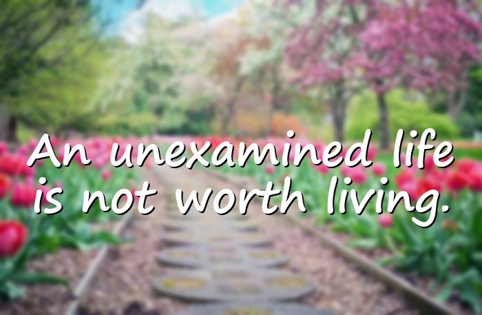 famous quotes - 11