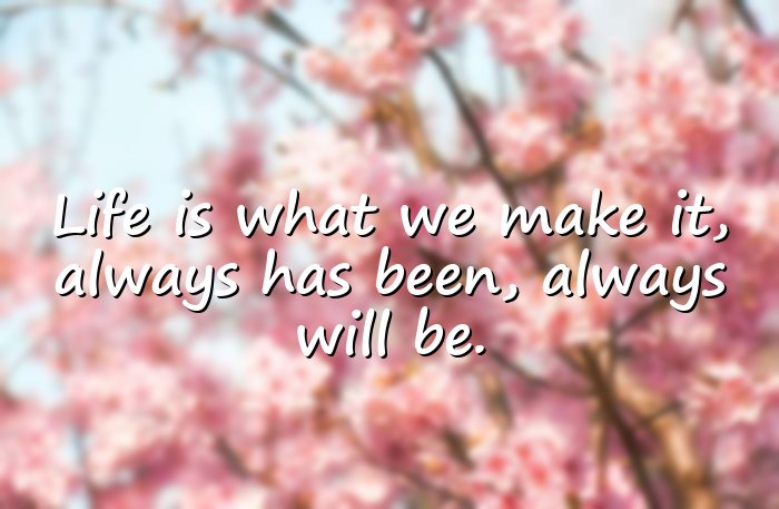 famous quotes about life - 11
