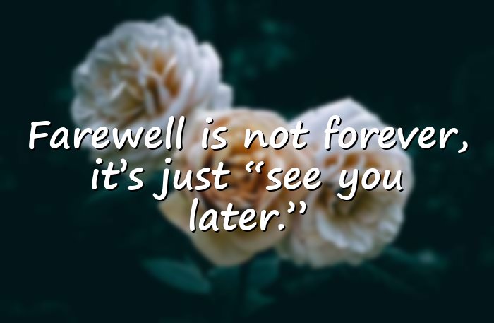farewell quotes - 21