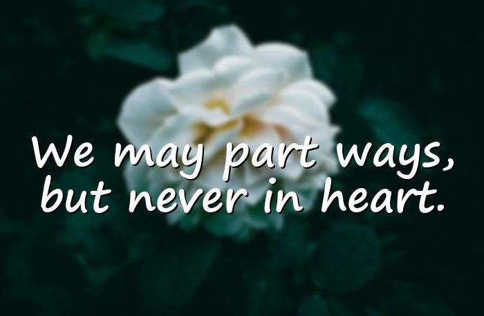 farewell quotes - 16