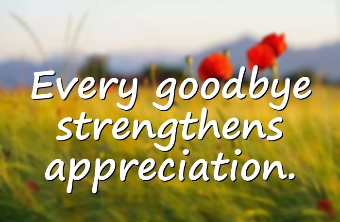 farewell quotes - 16