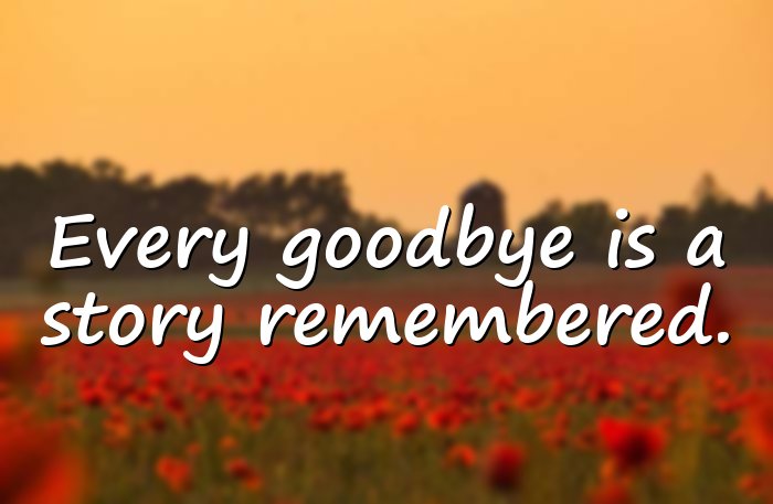 farewell quotes - 11