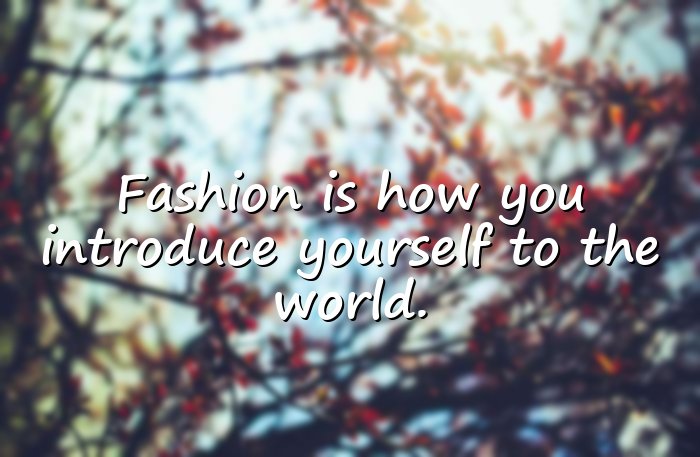 fashion quotes - 16