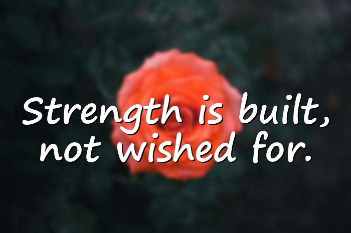 fitness quotes - 21