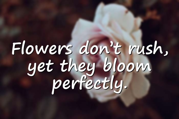 flower quotes - 21