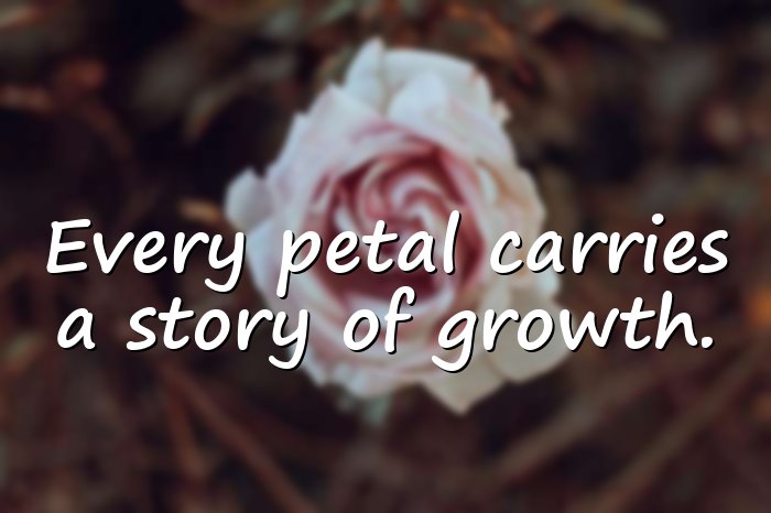 flower quotes - 16
