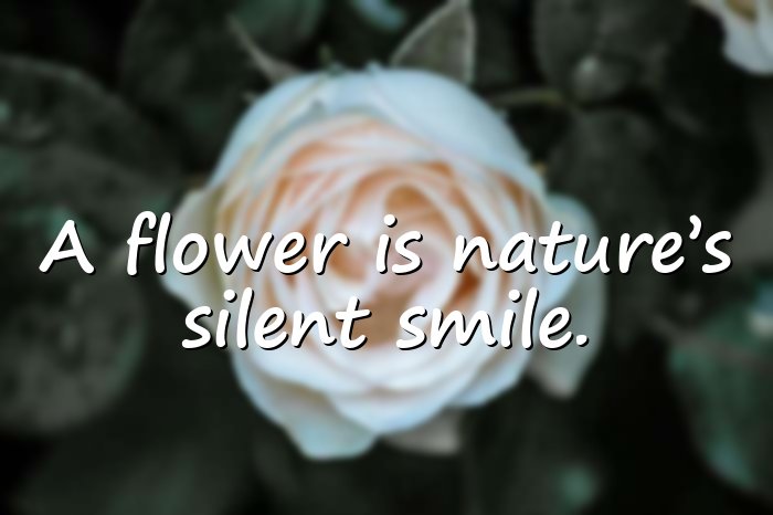 flower quotes - 11