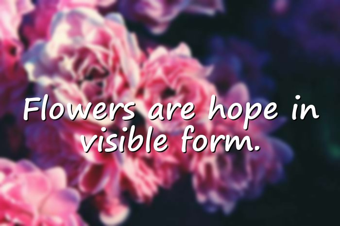 flower quotes - 1