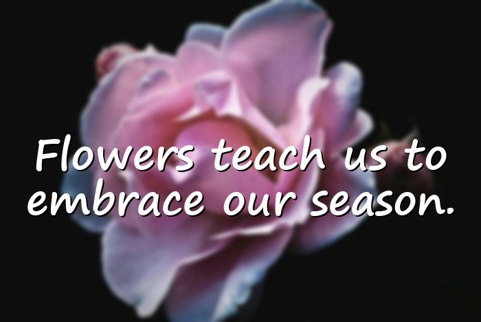 flower quotes - 16