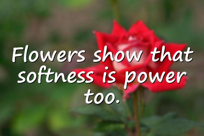 flower quotes - 6