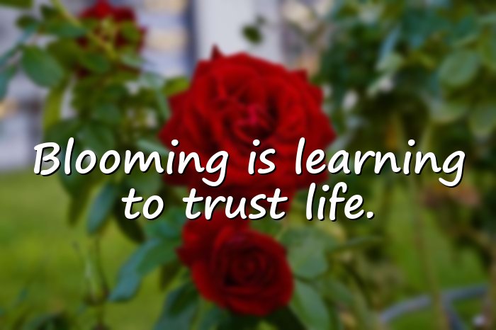 flower quotes - 1