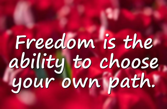 freedom quotes - 21