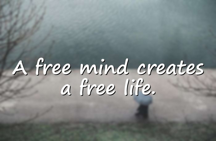 freedom quotes - 16