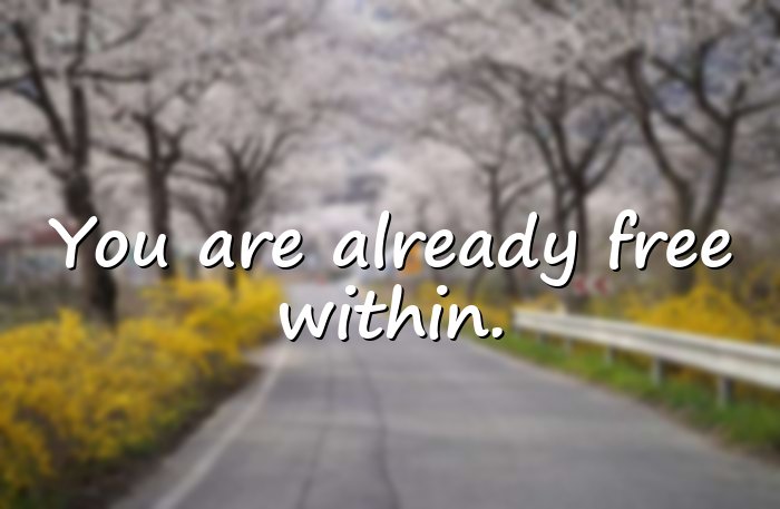 freedom quotes - 1