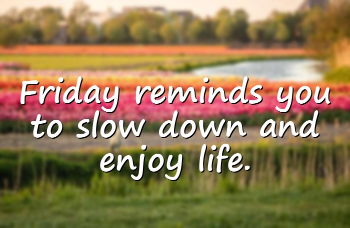 friday quotes - 11