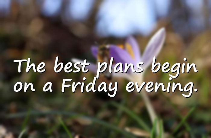 friday quotes - 1