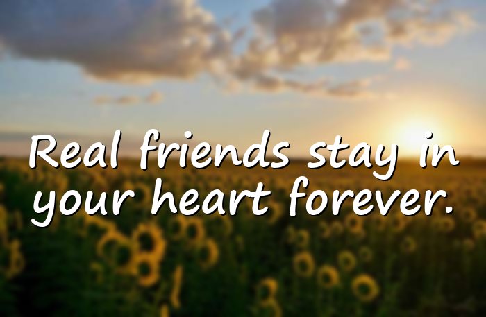 friends forever quotes - 21