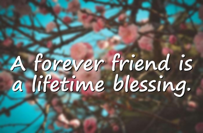 friends forever quotes - 16