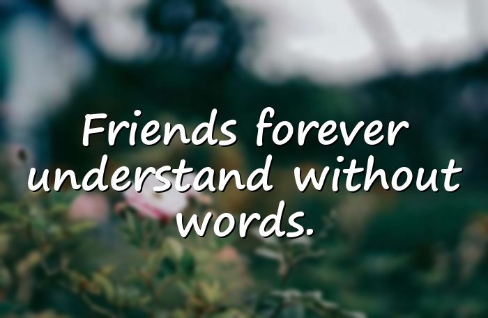 friends forever quotes - 11