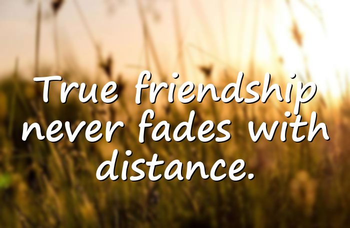 friends forever quotes - 1