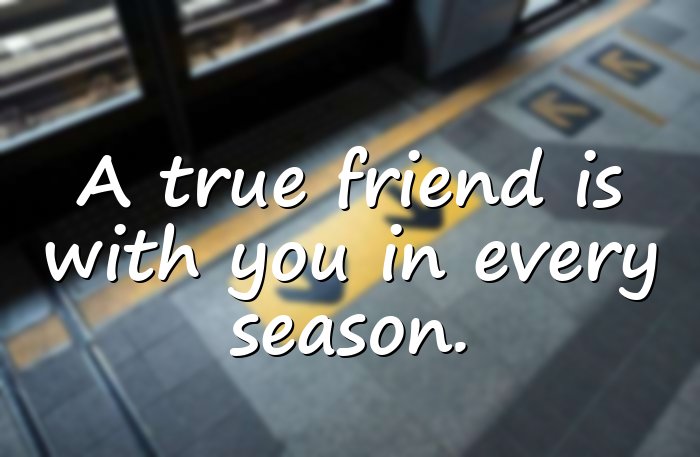 friends forever quotes - 21