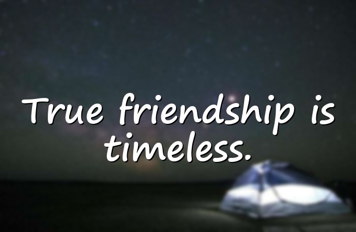 friends forever quotes - 16