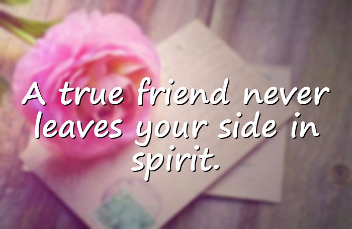 friends forever quotes - 11