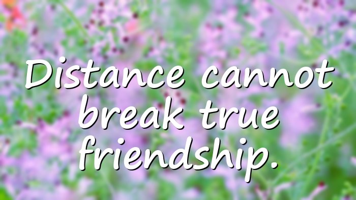 friendship day quotes - 16