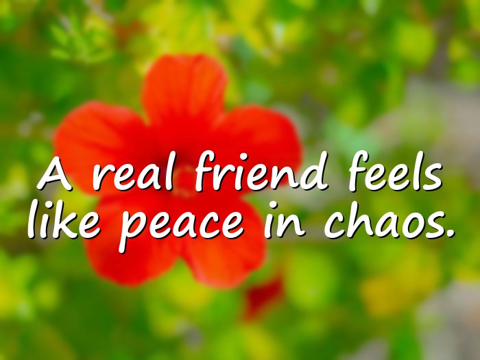 friendship day quotes - 11