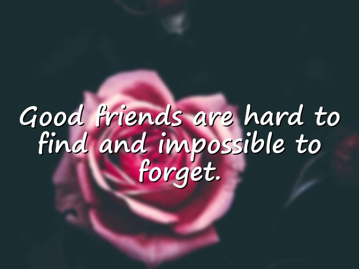friendship day quotes - 1