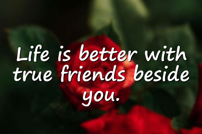 friendship day quotes - 1