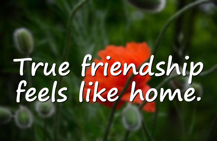 friendship quotes - 16