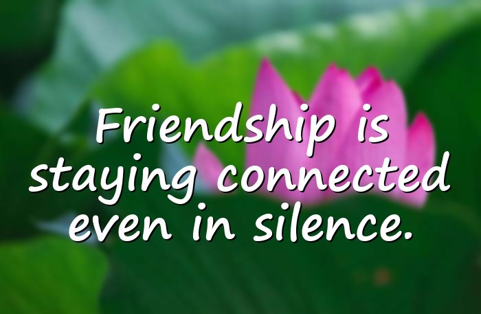 friendship quotes - 6