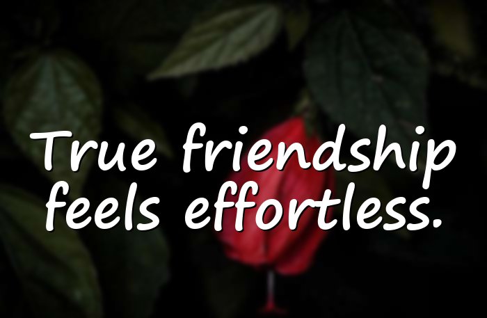friendship quotes - 1