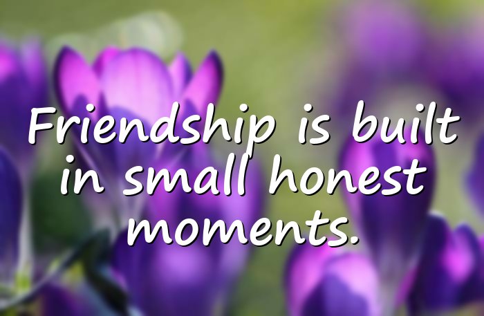 friendship quotes - 16